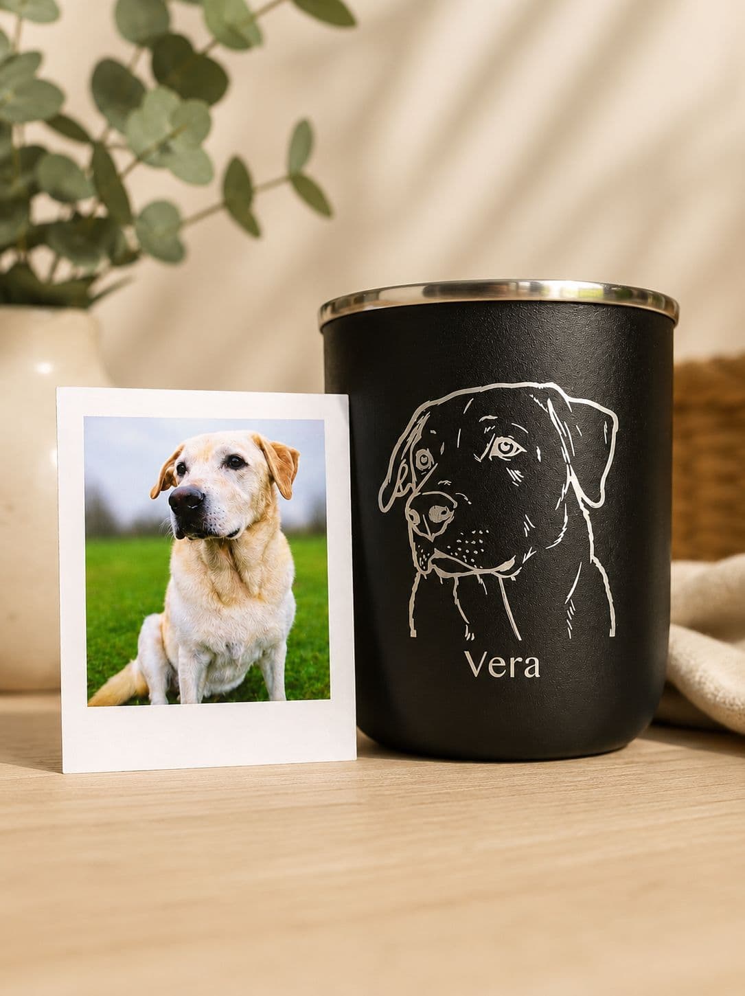 Perro con chapita grabada Pet Laser